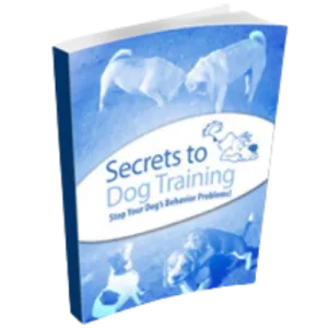 Secrets to Dog Training
