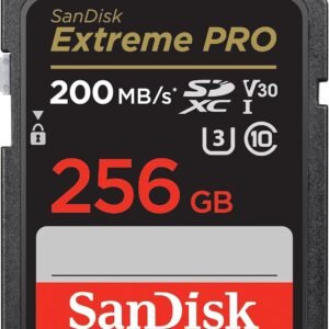 SanDisk 256GB Extreme PRO SDXC UHS-I Memory Card – C10, U3, V30, 4K UHD, SD Card – SDSDXXD-256G-GN4IN, Dark gray/Black