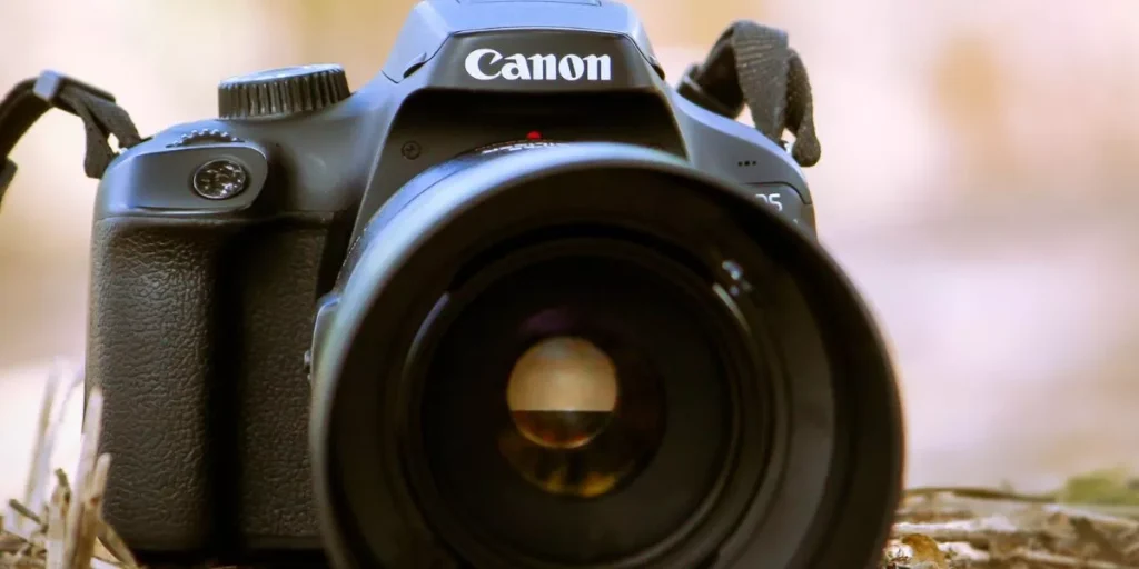 Which Camera Brands Provide the Best Customer Support?